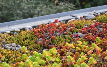 the cost of Shackerley green roof installation