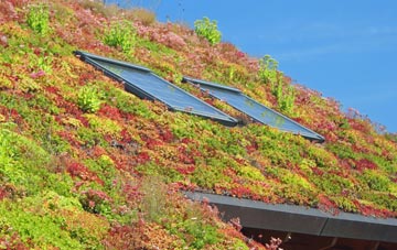 Shackerley living roof systems
